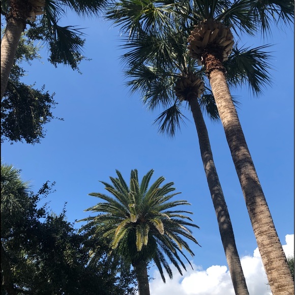 Meet your Posher, Lorena - Picture 1 of 1